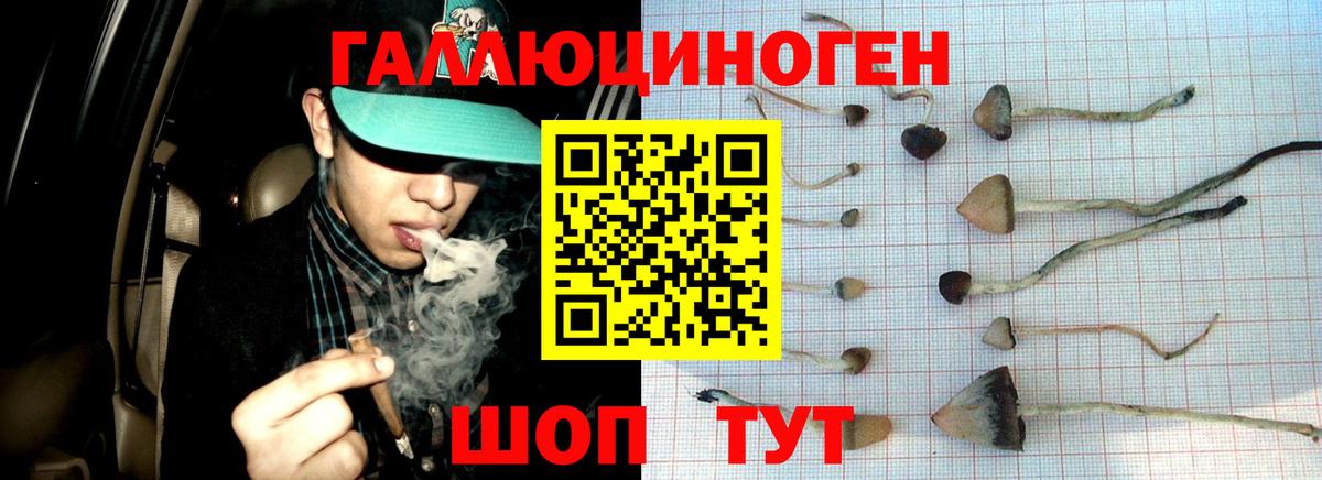 Псилоцибиновые грибы Psilocybe  Вход с VPN  купить закладку  Тула 